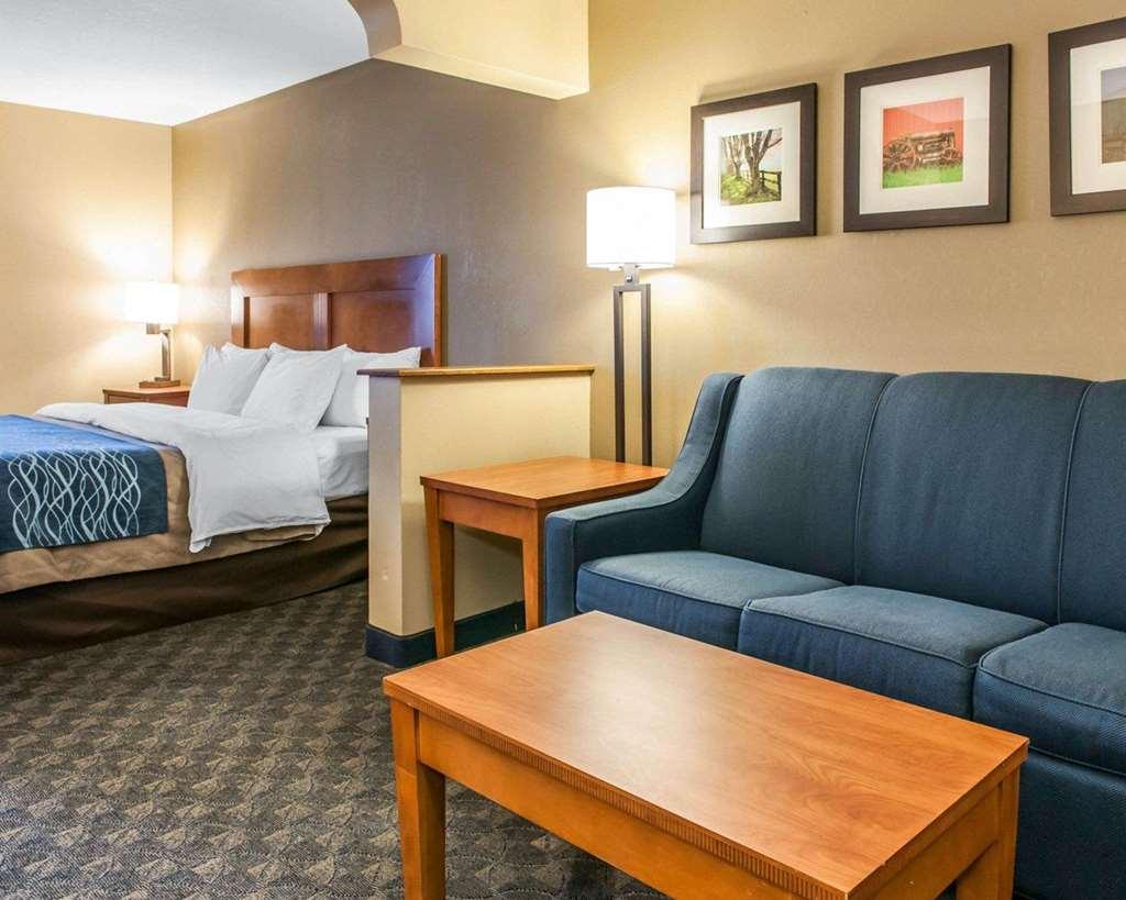 Comfort Inn & Suites Napoleon Room photo